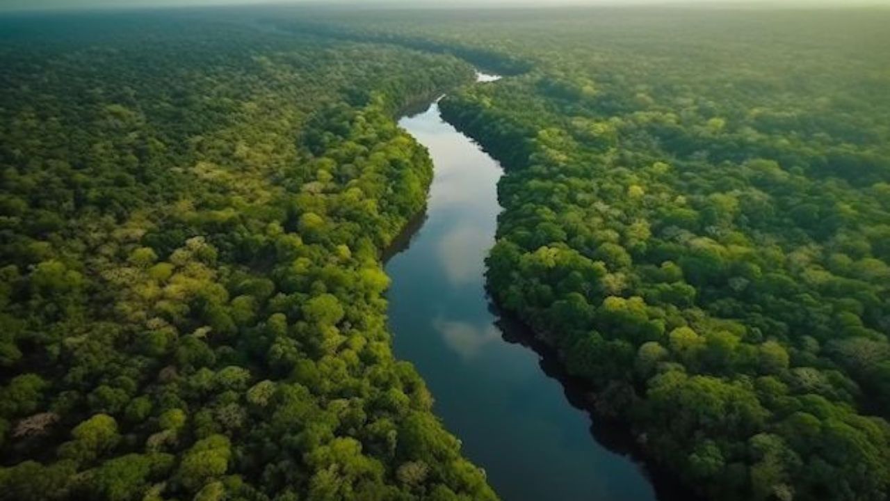 ॲमेझॉन नदीचा प्रवास अतिशय आकर्षक वाटतो कारण या नदीवर पूल नसल्यामुळे फक्त बोटीचाच आधार आहे. या ठिकाणी गुलाबी रंगाच्य डॉल्फिन पर्यटकांना आकर्षित करतात. 