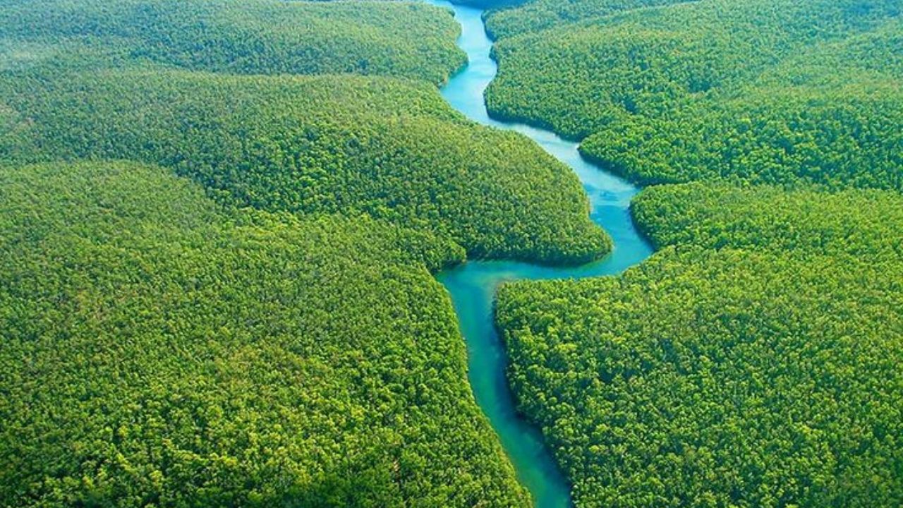ॲमेझॉन नदी पेरूच्या अँडीज पर्वतरांगांमधून उगम पावते आणि अटलांटिक महासागराला मिळते. या नदीला जैवविविधतेचे केंद्र म्हटले जाते कारण येथे मोठ्या प्रमाणात प्राणी आणि वनस्पती आढळतात.