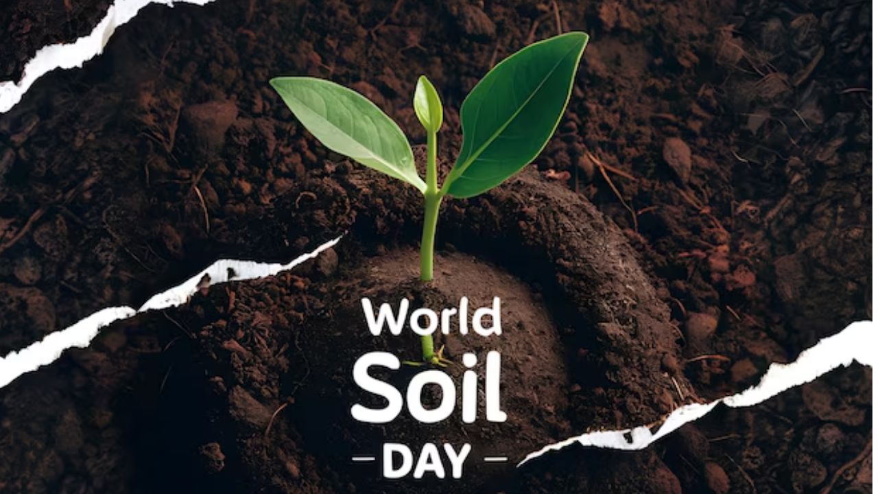 2024 World Soil Day Theme