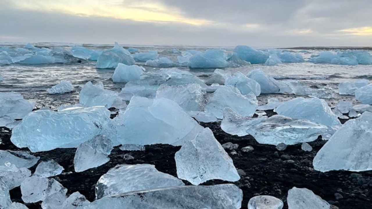 डासांबाबत असे मानले जाते की ते साचलेल्या उथळ पाण्यात वाढतात. जिथे त्यांची अंडी अळ्यांमध्ये बदलतात. यासाठी त्यांना योग्य तापमान देखील आवश्यक आहे. आइसलँडमधील परिस्थिती अशी आहे की साचलेले पाणी जास्त काळ टिकत नाही. तसेच कमी लोकसंख्येमुळे घरांमध्ये डासांसाठी परिस्थिती अनुकूल नाही. त्यामुळे येथे डासांची पैदास होऊ शकत नाही