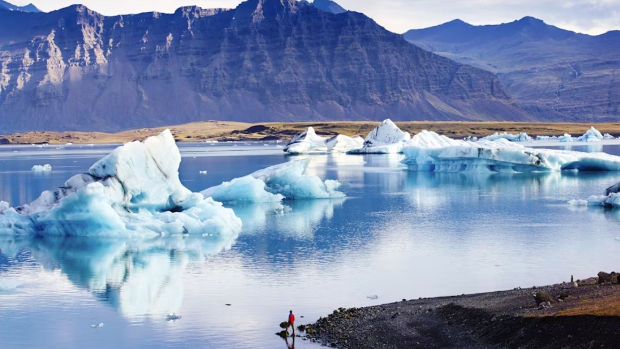 असेही म्हणता येईल की आइसलँडमध्ये तापमान खूप कमी आहे. येथे तापमान अगदी -38 अंश सेल्सिअसपर्यंत घसरते. अशा परिस्थितीत येथे डासांची पैदास करणे किंवा राहणे अशक्य आहे. तथापि येथे एक मच्छरसारखा दिसणारा प्राणी आहे मात्र तो मच्छर नाही