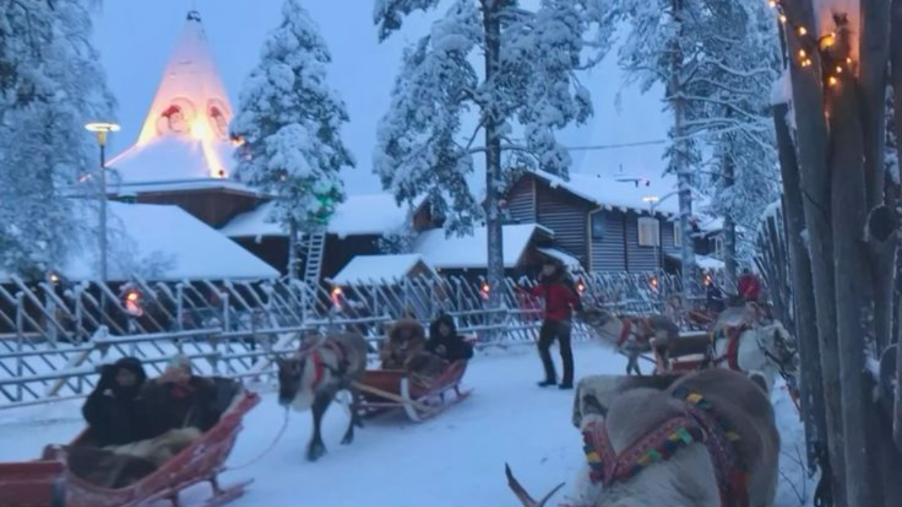 केवळ डासच नाही तर आइसलँडमध्ये सापासारखे इतर सरपटणारे प्राणी किंवा कीटक नाहीत. येथील हवामान आणि तापमानही या प्राण्यांसाठी योग्य नाही. त्यामुळे यासारखे अनेक प्राणी आइसलँडमध्ये अस्तित्वात नाहीत