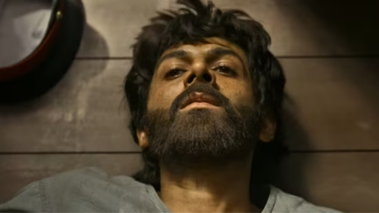 बजेटपेक्षा जास्त कमाई केली तरीही ठरला सर्वात मोठा FLOP! 2024 चा हा चित्रपट पाहिलात का?