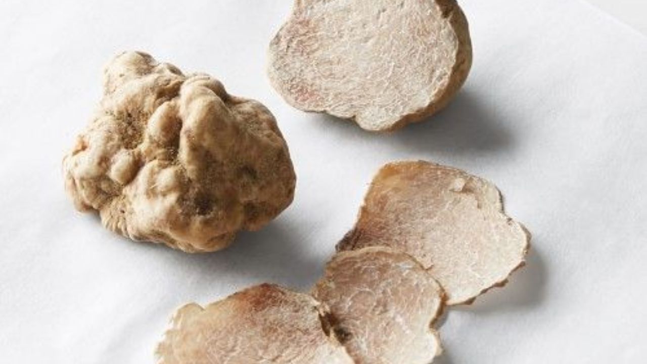 युरोपमध्ये आढळणारा पांढरा ट्रफल हा जगातील सर्वात महाग ट्रफल आहे. त्याची किंमत 5 लाख रुपये प्रति किलोपर्यंत आहे. त्याची चव लसूण आणि चीज सारखी असते. 