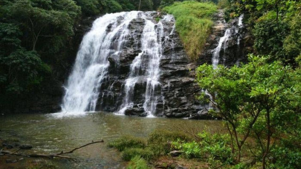 कर्नाटकात असलेल्या कुर्गला भारताचे स्कॉटलँड म्हणतात. नैसर्गिक सौंदर्य आणि भव्य धबधबे असलेले हे ठिकाण नवीन वर्ष साजरे करण्यासाठी योग्य आहे.