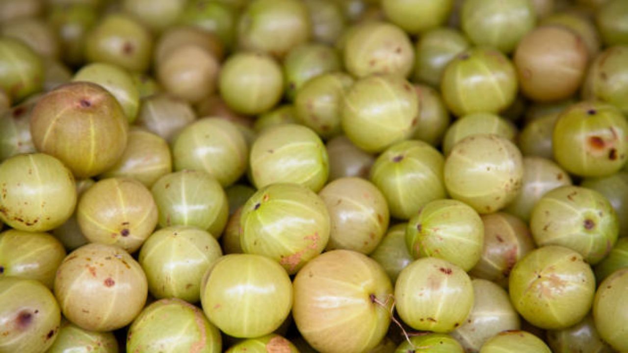 आवळ्याचे गुणकारी फायदे (फोटो सौजन्य: iStock)