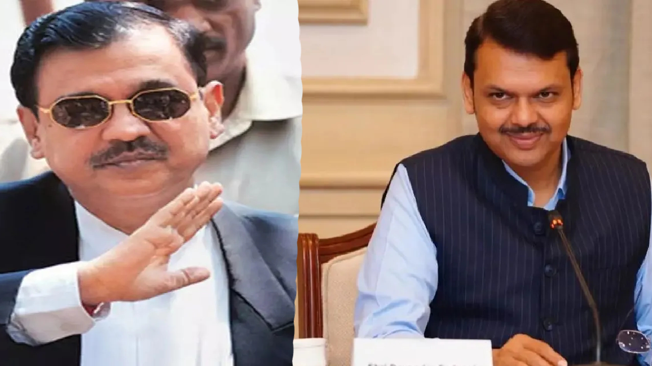 Santosh Deshmukh Case: फडणवीस-निकम यांची भेट; धनंजय देशमुख म्हणाले, “सरकारी वकील म्हणून…”