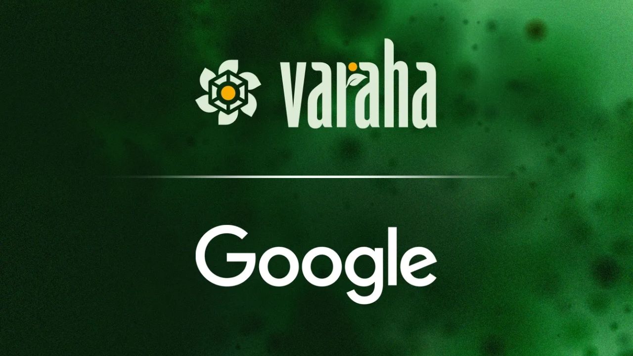 What carbon credits will Google buy from Indian companies Find out who will benefit from this