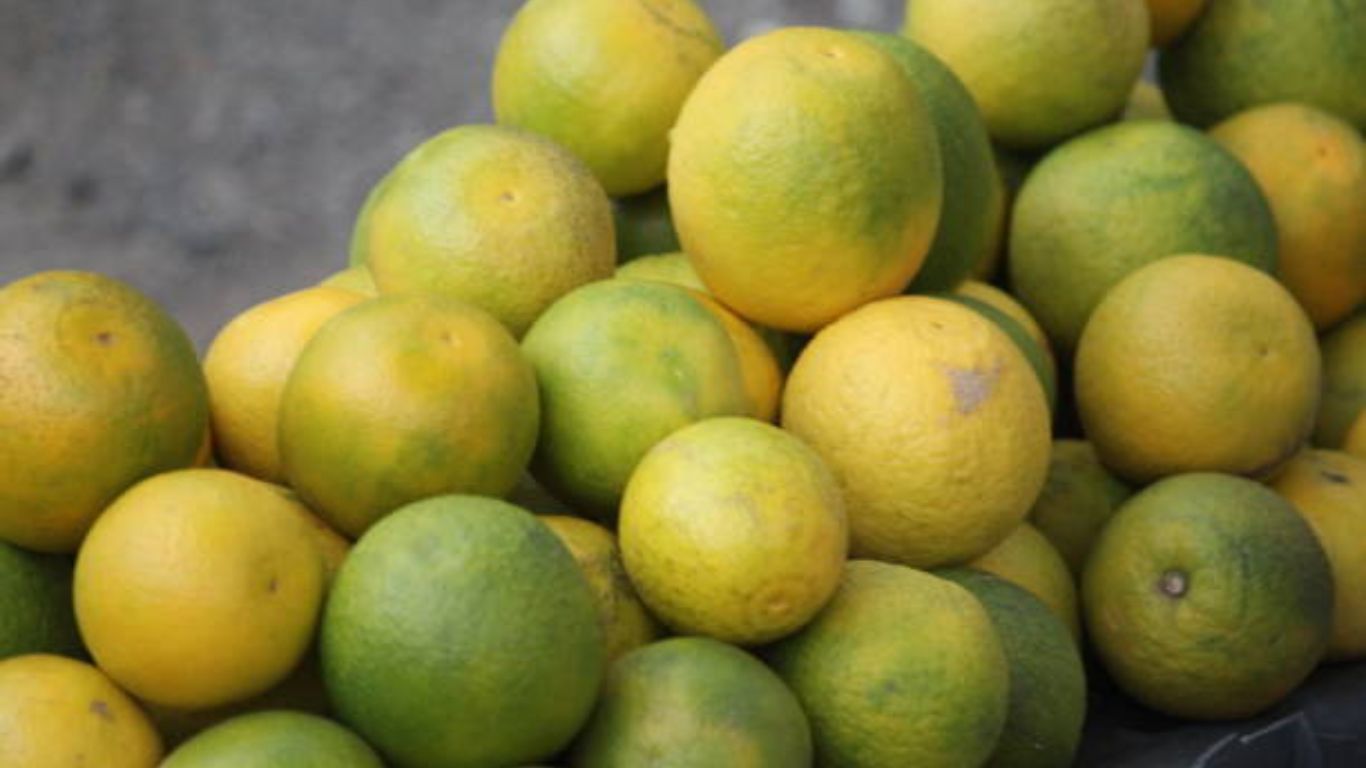 शरीराची बिघडलेली पचनक्रिया सुधारण्यासाठी आहारात मोसंबीच्या रसाचे सेवन करावे. यामुळे पचनसंस्था निरोगी राहते. 