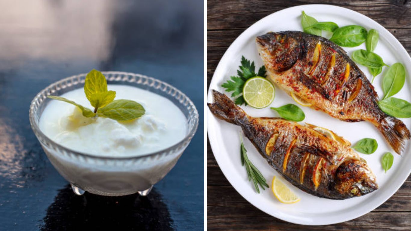 दह्यासोबत चुकूनही करू नका ‘या’ पदार्थांचे सेवन! आतड्यांमध्ये जमा होईल विष, आरोग्याचे होईल नुकसान