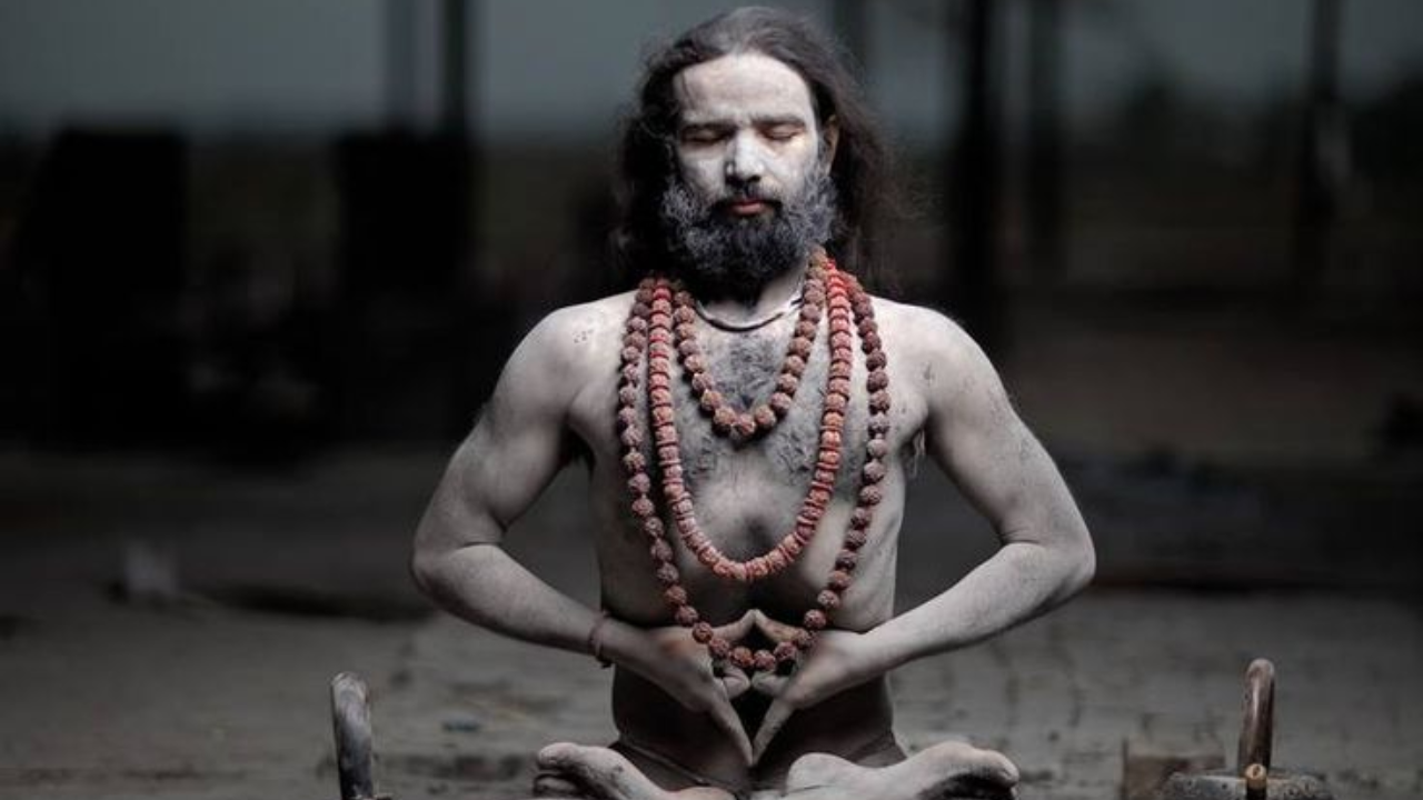 नागा साधूंचे जीवन फार कठीण आणि खडतर असते. गळ्यात रिद्राक्षांची माळ, शरीरावर भस्म आणि जटाधारी केस ही त्यांची प्रमुख ओळख आहे. नागा साधूंचे जटाधारी केस हे जवळपास 10 फूट लांब असू शकतात. 
