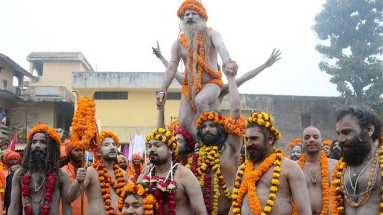 नागा साधू आपल्या जटा साफ करण्यासाठी किंवा धुण्यासाठी कोणत्याही साबणाचा किंवा शॅम्पूचा वापर करत नाहीत तर ते यासाठी भस्माचा वापर करतात 
