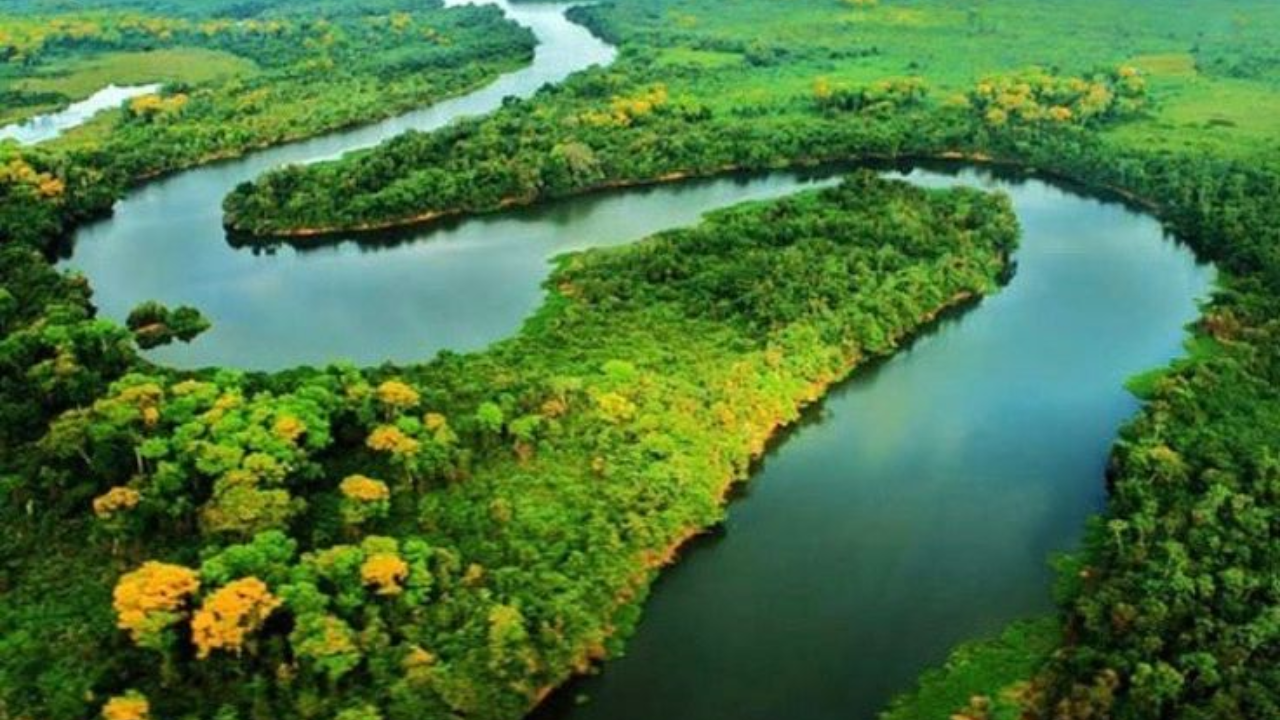 साहजिकच, अमेझॉन नदीवर पूल बांधणे अत्यंत आवश्यक असते, तर प्रचंड खर्च आणि सर्व आव्हाने असतानाही हा पूल बांधला गेला असता. पण खरं सांगायचं तर, ॲमेझॉन नदीवर पूल बांधण्याची गरज नाही कारण ही नदी कमी लोकवस्तीच्या भागातून जाते. तिथे पाण्यासाठी पाइपलाइन टाकली जाते 
