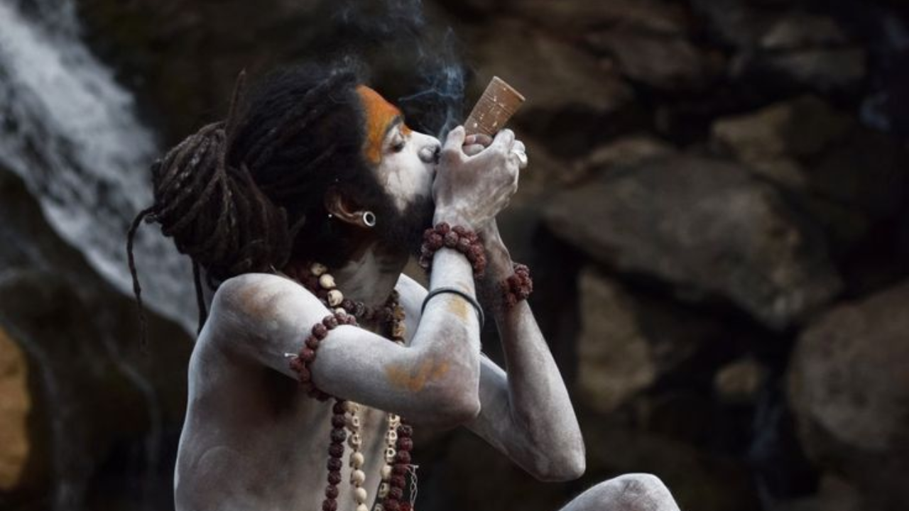 अघोर म्हणजे ज्यामध्ये भीती नसून फक्त सौम्यता आहे. सरलता असणारे हे अघोरी साधू दिसण्यामध्ये नक्कीच भयंकर असतात, परंतु त्यांचे हृदय साफ आणि स्वच्छ असते. त्यांच्या मनात जण कल्याणाची भावना असते. 