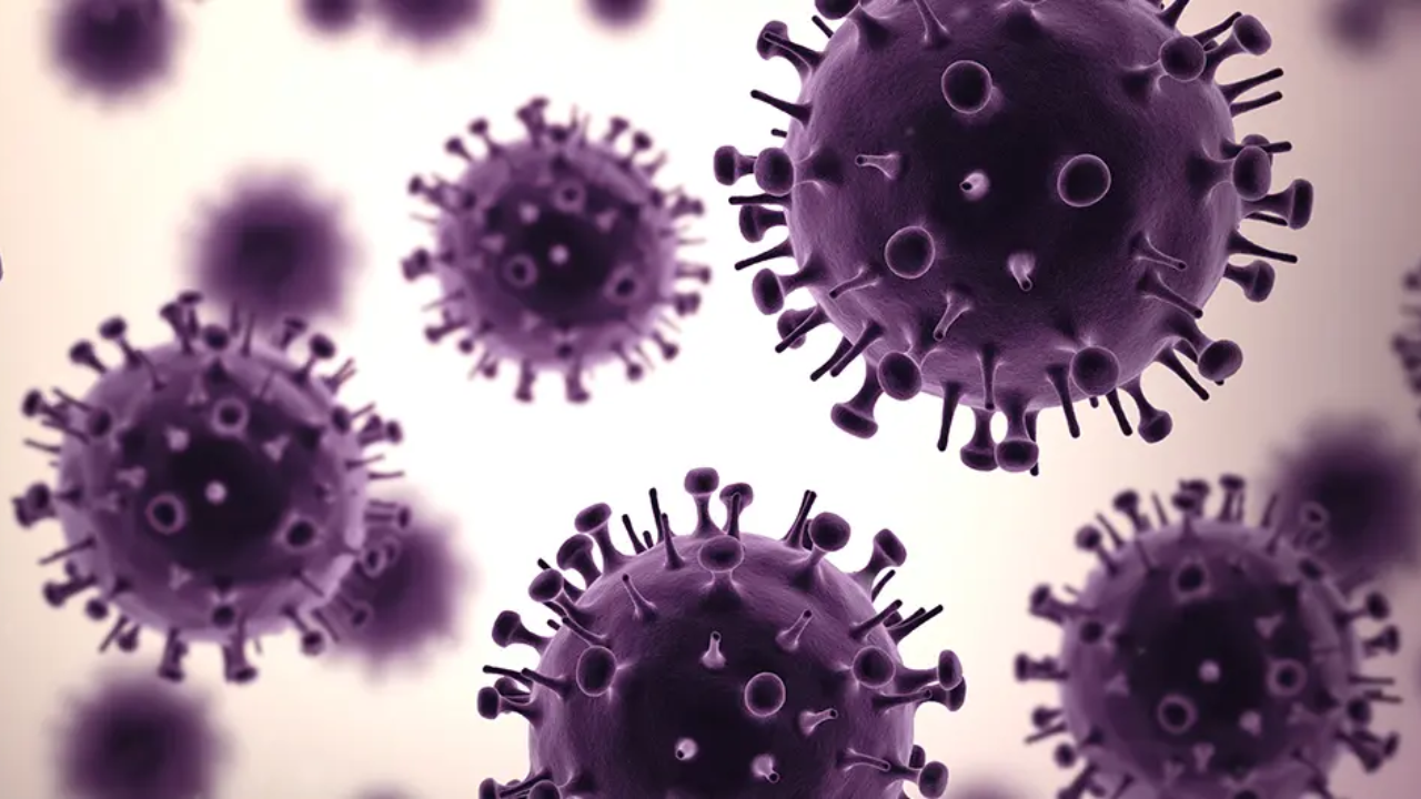 देशात रहस्यमय आजारांची दहशत; राजौरीतील मृत्यू आणि पुण्यातील गुइलेन-बैरे सिंड्रोम