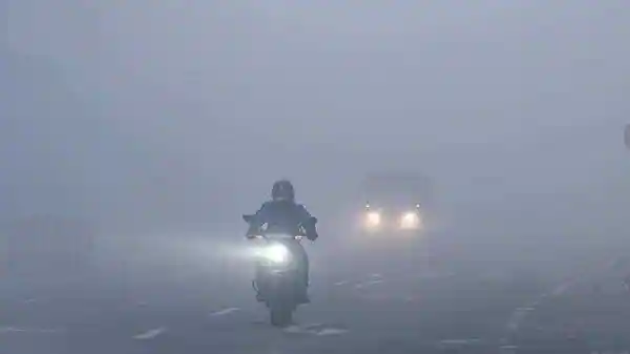 अनेक जण या वातावरणात राईड केल्यामुळे आजारी पडतात. जर तुम्हाला कामामुळे दररोज बाईकची सफर करावी लागते. जर ही सफर रोज सकाळची असेल तर अनेक गोष्टींना सामोरे जावे लागते. तर अशा वेळी काही उपाय कामी येतात. 