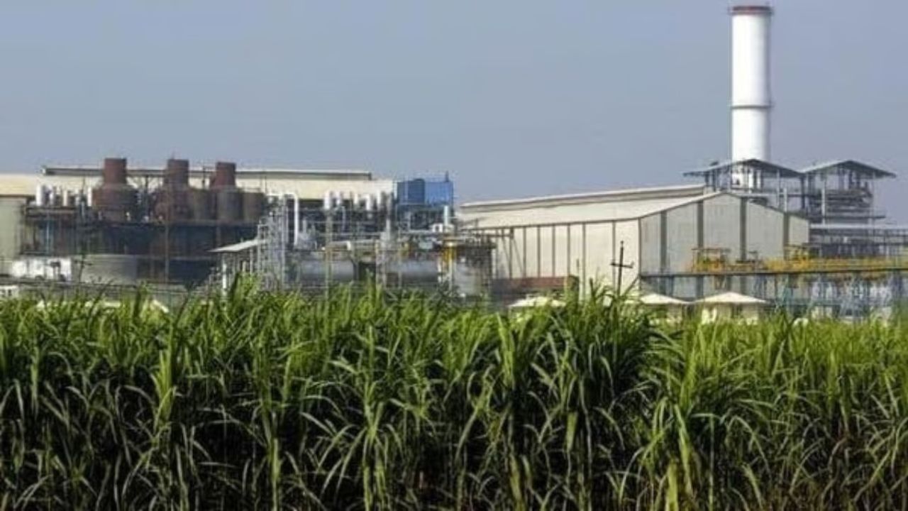 Sugercane FRP: कोल्हापूरात साखर कारखान्यांचा ‘एफआरपी’प्रमाणे दर जाहीर