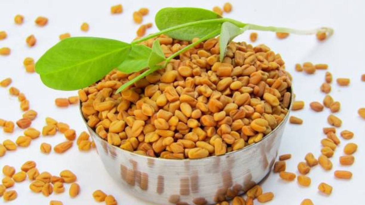 मेथीमध्ये अँटीऑक्सिडंट्स आणि व्हिटॅमिन सी असते, जे त्वचा सुधारण्यास मदत करते. हे मुरुमे आणि डाग कमी करण्यास देखील मदत करू शकते. हे केसांच्या आरोग्याला देखील प्रोत्साहन देते. यामुळे केस गळणे कमी होते आणि ते मजबूत आणि चमकदार बनतात