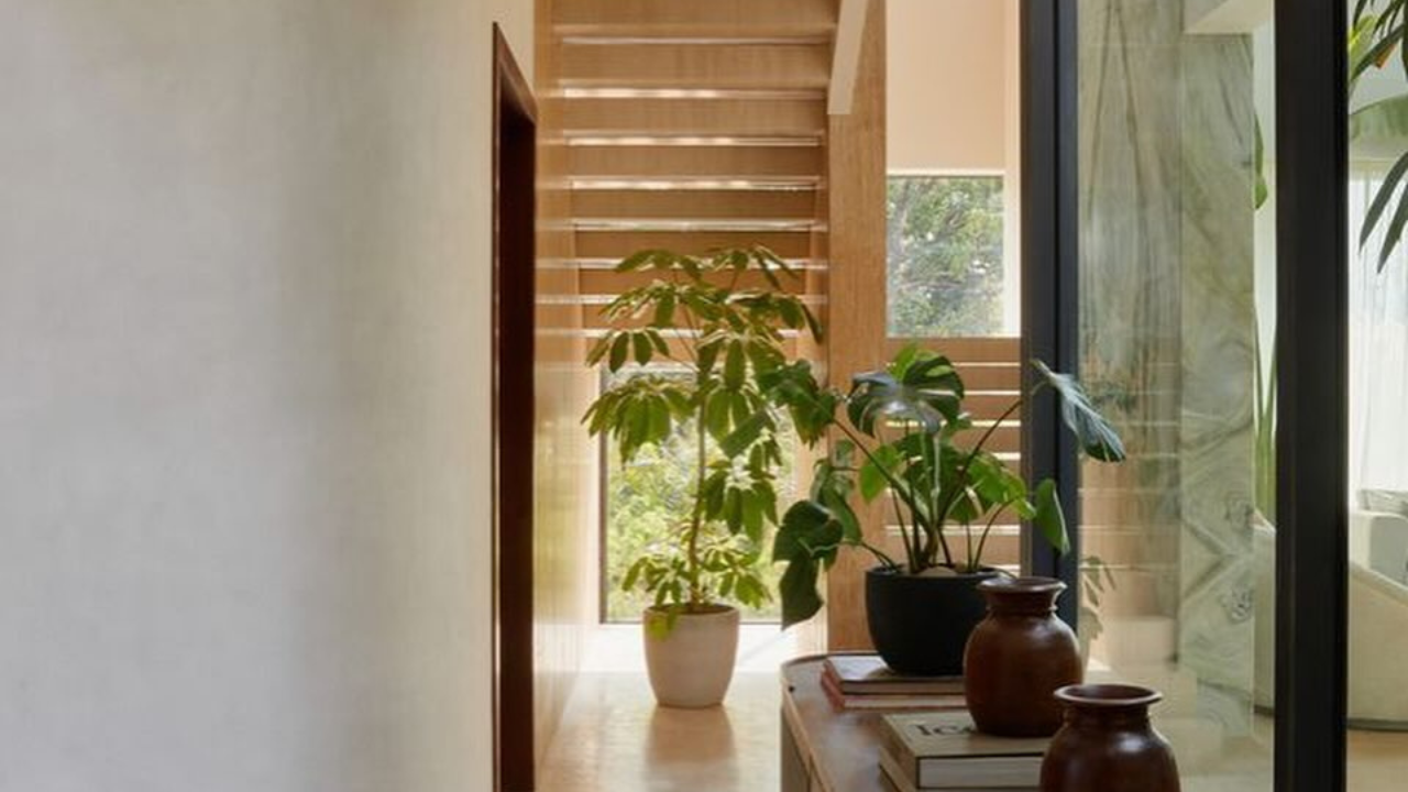 इनडोअर प्लांट्सचा इंटिरिअरमध्ये वापर