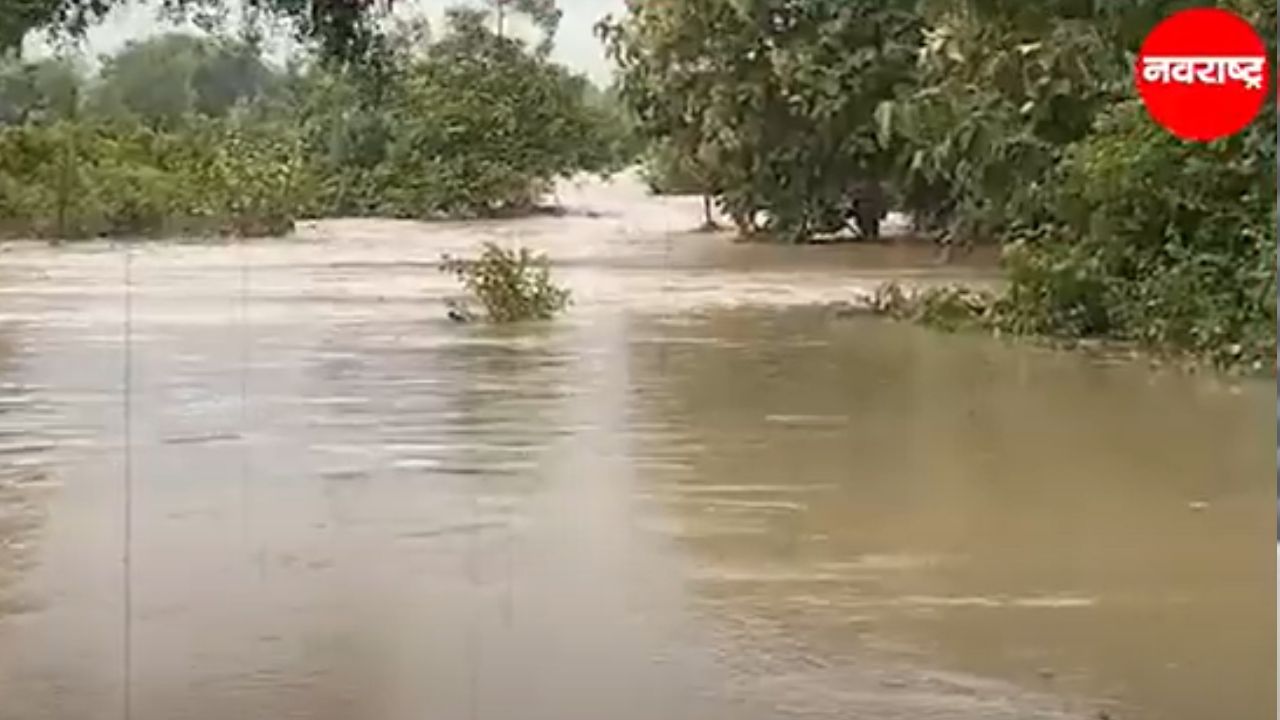 Yavatmal: अस्मानी संकटामुळे कर्जमाफी करावी, शेतकऱ्यांची सरकारदरबारी मागणी