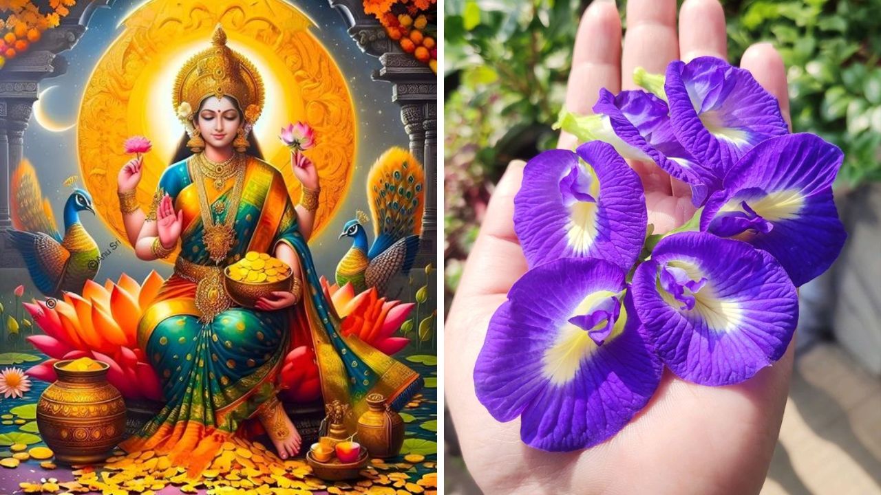 फोटो सौजन्य- pinterest