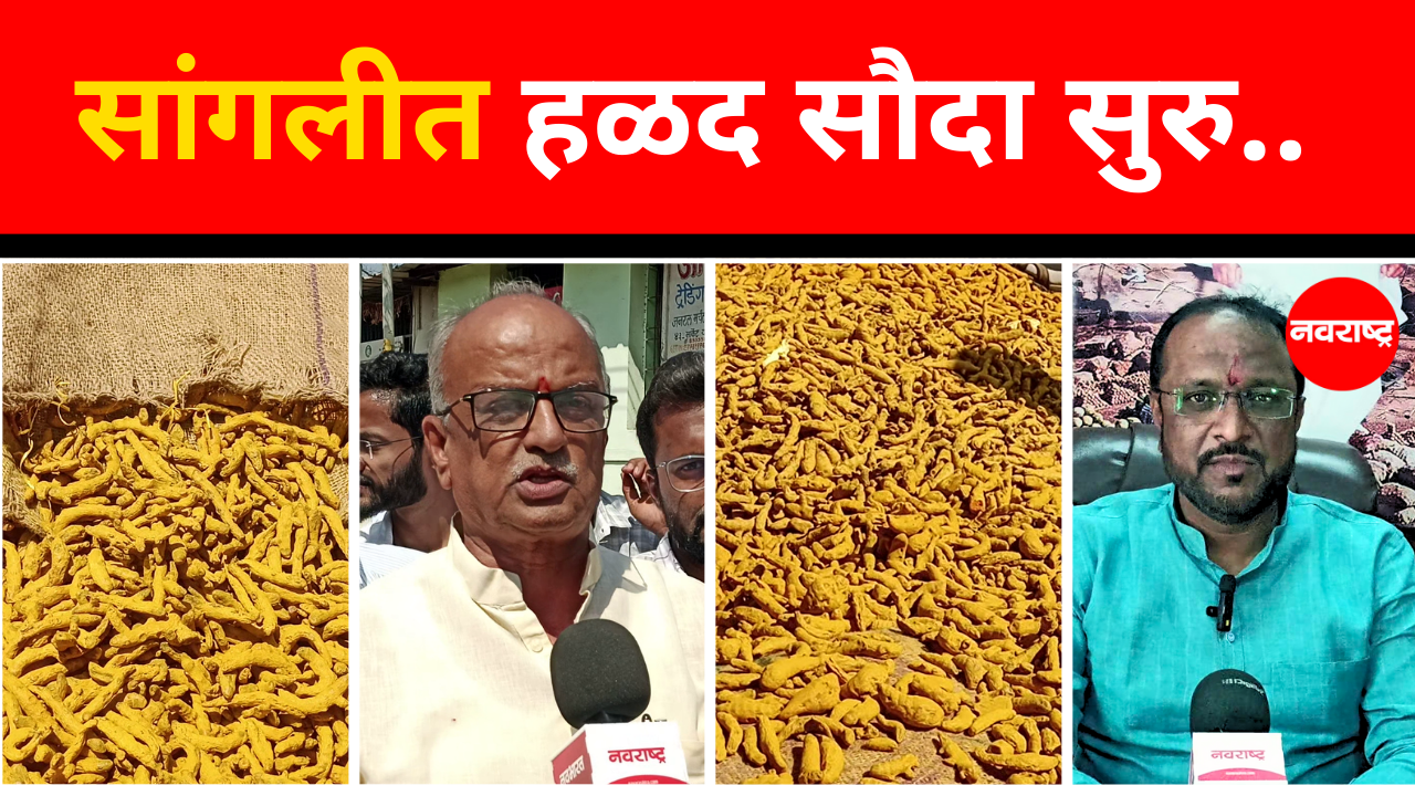 Sangli : हळदीसाठी प्रसिद्ध असणाऱ्या सांगलीत हळद सौद्याचा शुभारंभ APMC Market | Marathi News
