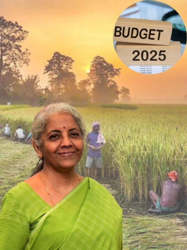Budget 2025: ‘बळीराजा’ला अच्छे दिन; ‘या’ मोठ्या योजनांची घोषणा