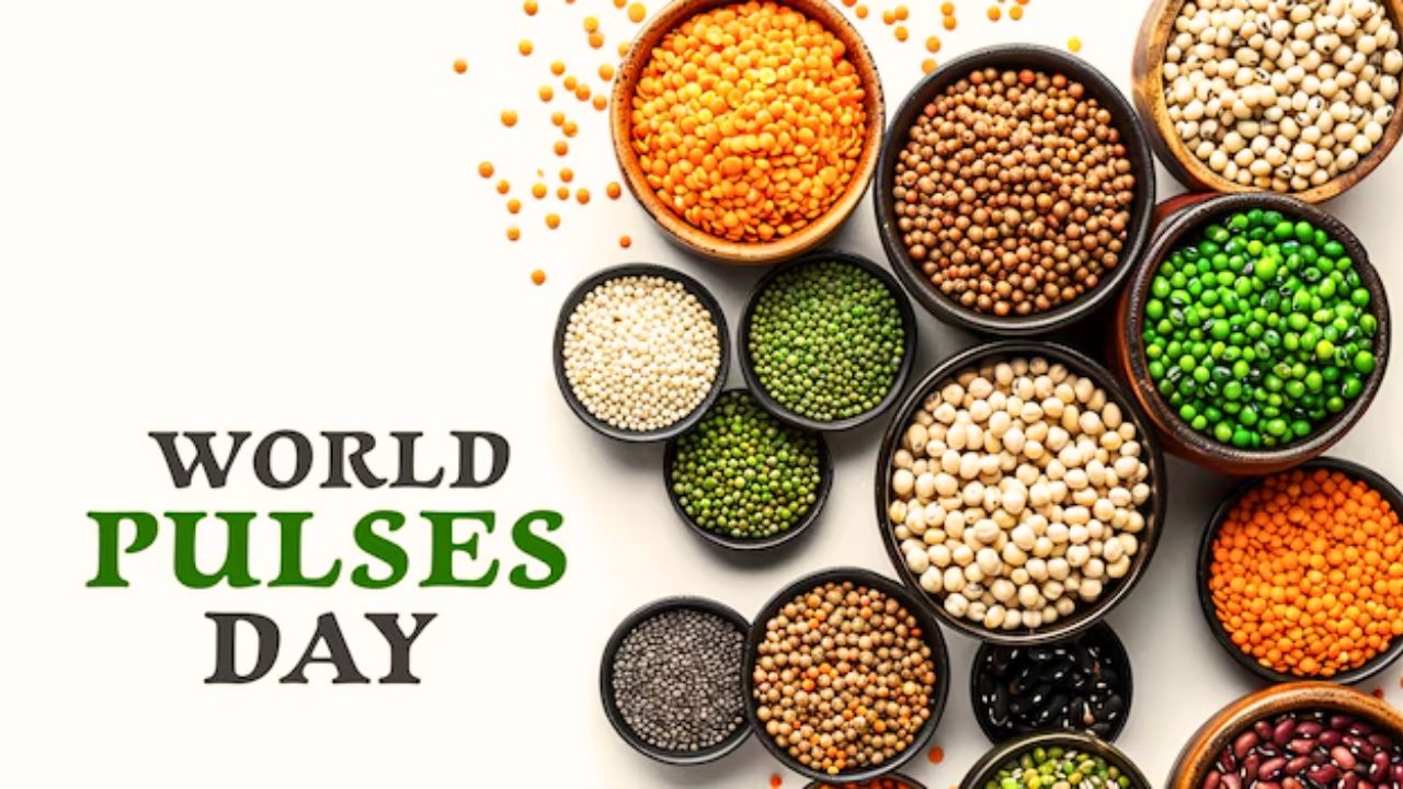 World Pulses Day : रोजच्या आहारात डाळींचा समावेश करण्याचे ‘हे’ आहेत खास फायदे