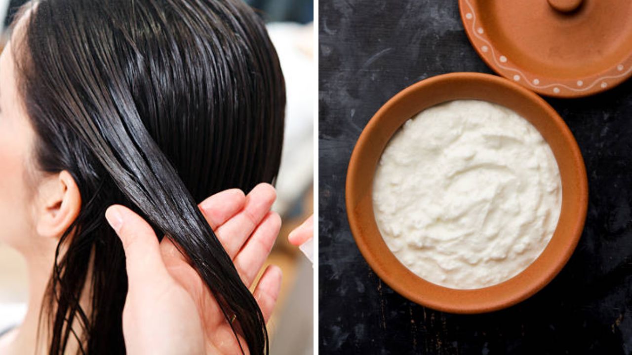 केसगळती आणि कोंड्याच्या समस्येपासून आराम मिळवण्यासाठी आठवड्यातून एकदा केसांना लावा ‘हा’ पदार्थ