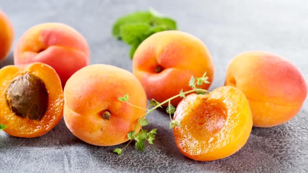 जर्दाळू खाल्यामुळे पचनक्रिया सुधारण्यास मदत होते. दैनंदिन आहारात जर्दाळूचे सेवन केल्यामुळे बिघडलेली पचनक्रिया सुधारते आणि आरोग्याला फायदे होतात. 