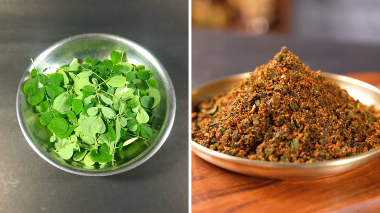 वाटीभर शेवग्याच्या पानांपासून बनवा चविष्ट चटणी, चमचाभर चटणीचे सेवन केल्यास हाडांना मिळेल पोषण