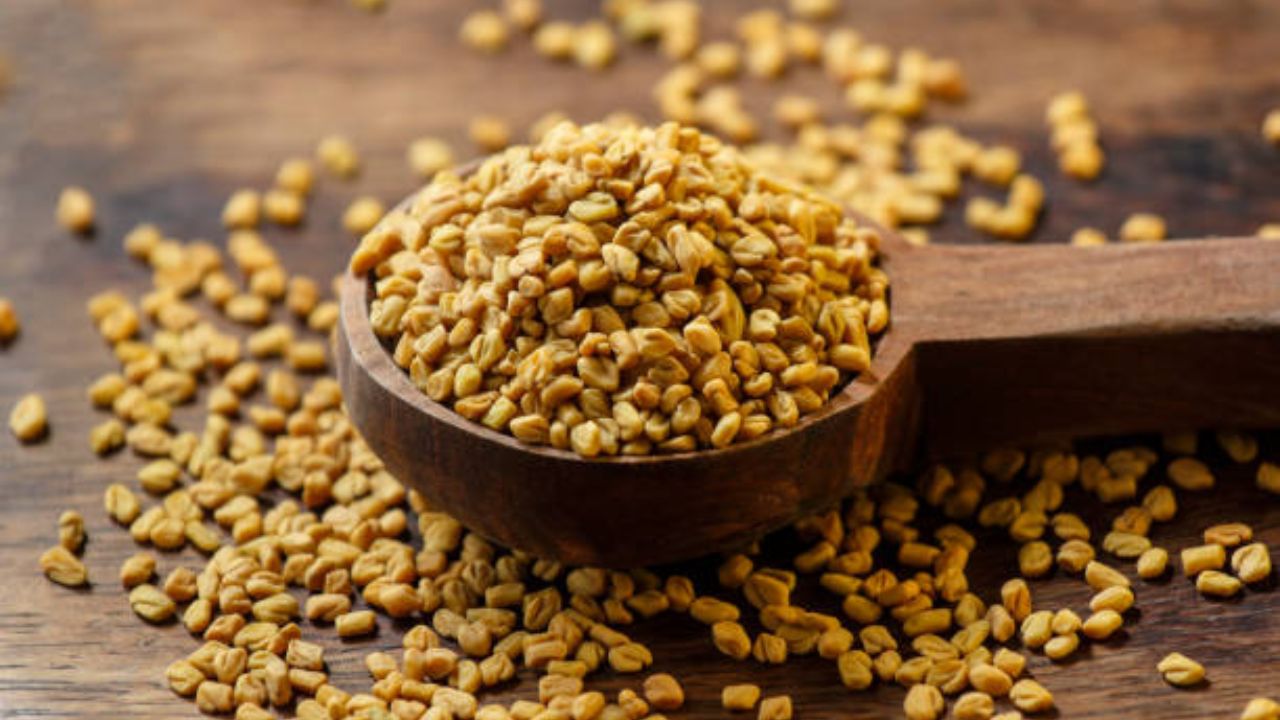 शरीरात वाढलेली खराब कोलेस्ट्रॉलची पातळी नियंत्रणात ठेवण्यासाठी मेथी दाण्यांचे पाणी प्यावे. या पाण्याचे सेवन केल्यामुळे शरीरात चांगल्या कोलेस्ट्रॉलची पातळी वाढते आणि हानिकारक कोलेस्ट्रॉल कमी होते. मेथीचे पाणी नियमित प्यायल्यामुळे हृदयविकाराचा धोका टळतो.