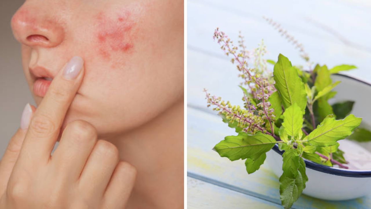 त्वचेसाठी वरदान ठरतील तुळशीची पाने! नियमित वापर केल्यास त्वचेच्या सर्व समस्या होतील कायमच्या दूर