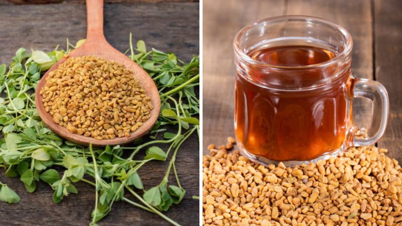 सकाळी उठल्यानंतर उपाशी पोटी नियमित करा मेथीच्या पाण्याचे सेवन, ३० दिवसांमध्ये शरीरात दिसून येतील सकारात्मक बदल