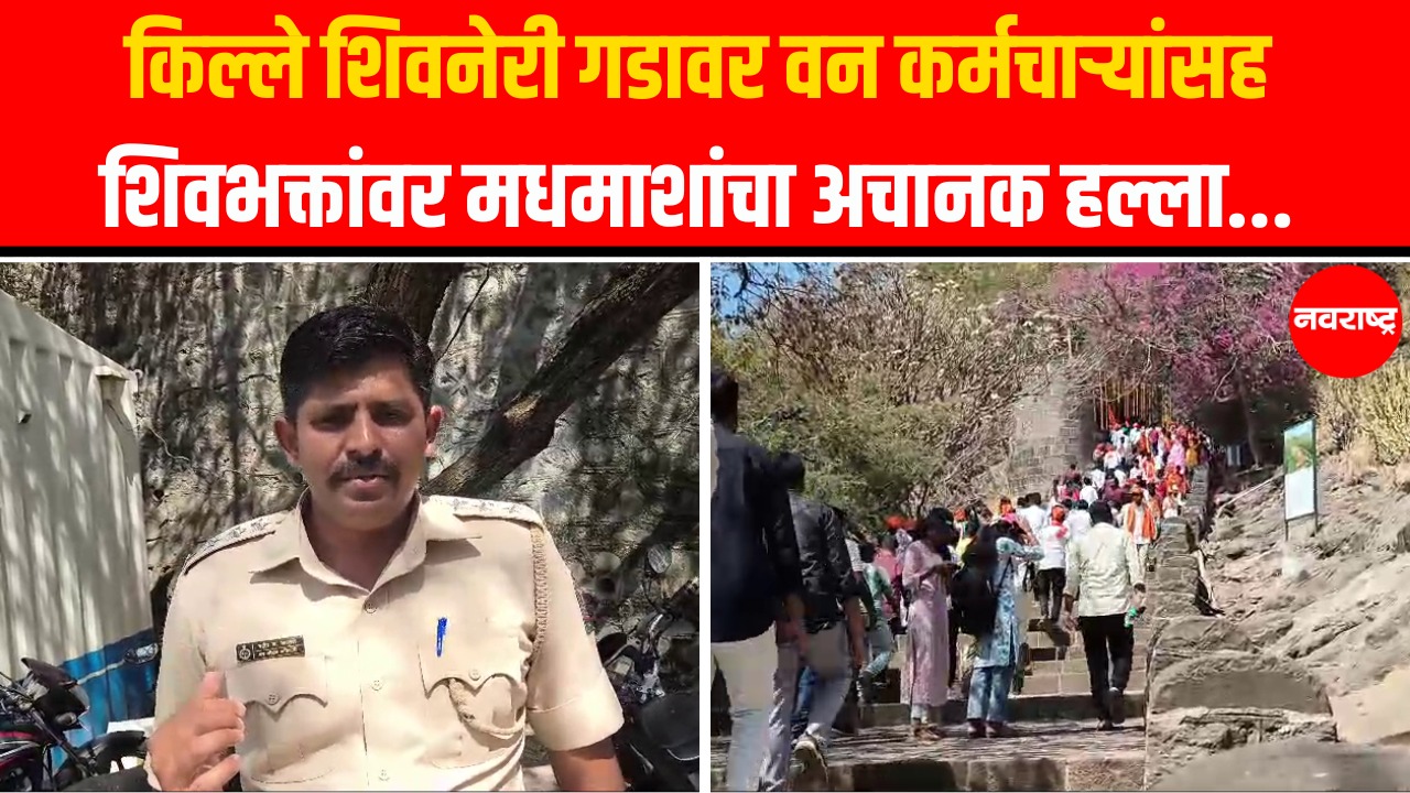 Shivneri Fort : किल्ले शिवनेरी गडावर वन कर्मचाऱ्यांसह शिवभक्तांवर मधमाशांचा अचानक हल्ला…
