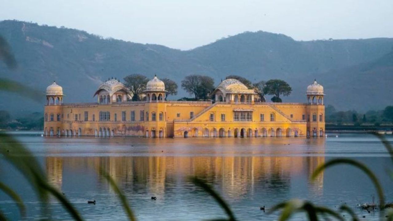 तुम्हाला हे जाणून आश्चर्य वाटेल की या वॉटर पॅलेसच्या वरच्या मजल्यावर एक नर्सरी आहे, ज्यामध्ये एक लाखाहून अधिक झाडे लावली आहेत. या झाडांची देखभाल करण्यासाठी 40 बागायतदार कार्यरत आहेत. ही रोपवाटिका राजस्थानातील सर्वात उंच झाडे असलेली नर्सरी आहे 

