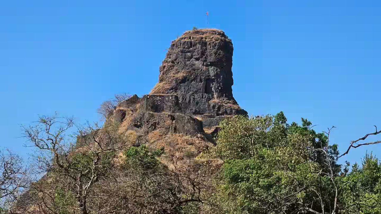 पनवेलमध्ये स्थित असलेले हे T Point निसर्गाच्या सौंदर्याने नटलेले सुंदर असे ठिकाण आहे. तुमची तुमच्या सुंदर पार्टनरला घेऊन या आणि या सुंदर ठिकाणाची सफर घडवा. 
