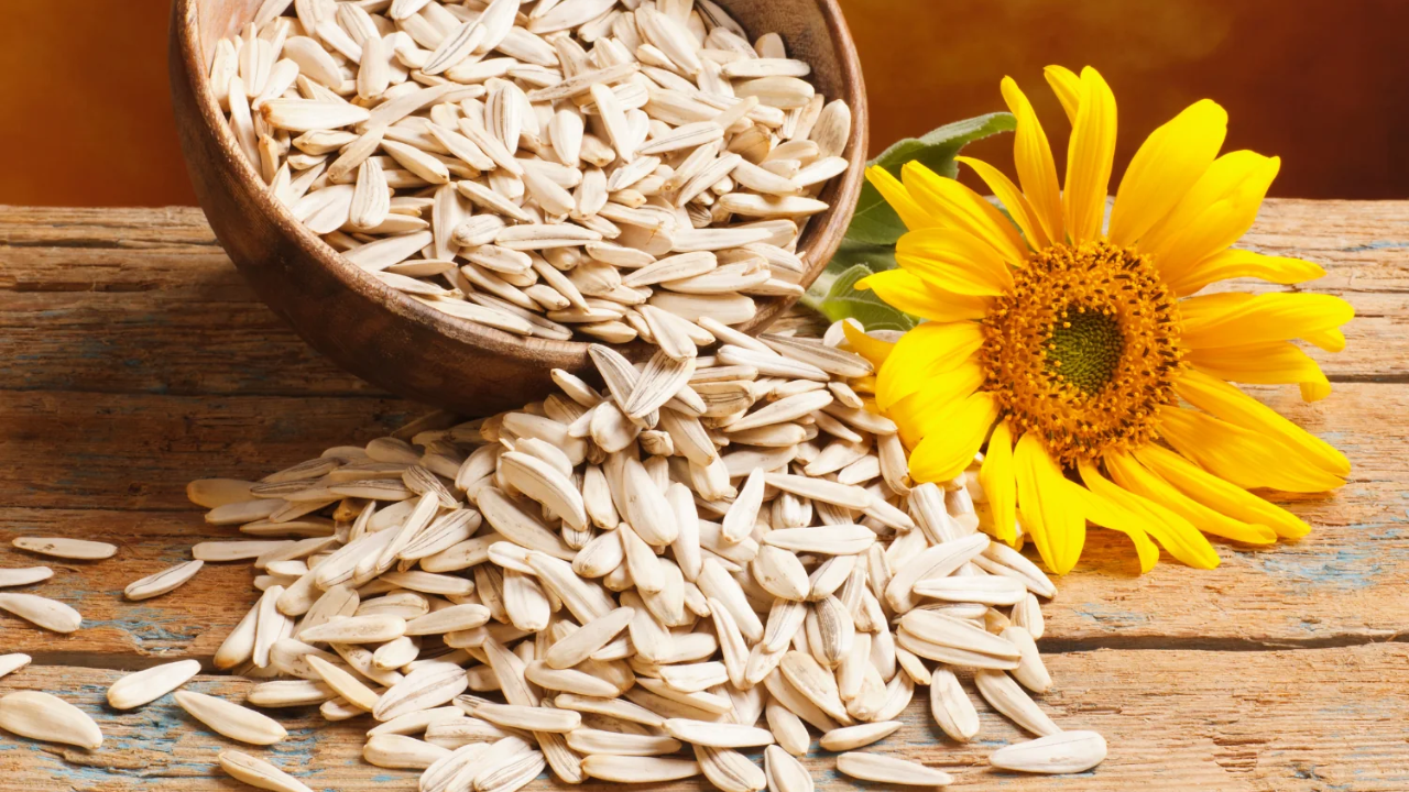 सूर्यफुलाच्या बियांचे सेवन हाडे मजबूत करतात. सूर्यफुलाच्या बियांमध्ये मॅग्नेशियम, फॉस्फरस आणि कॅल्शियम असते, जे हाडांच्या मजबुतीसाठी उपयुक्त आहे.