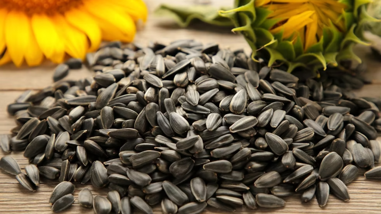 सूर्यफुलाच्या बियांमध्ये फायबर आणि हेल्दी फॅट असते, जे रक्तातील साखर स्थिर ठेवण्यास मदत करते आणि मधुमेहाच्या रुग्णांसाठी फायदेशीर ठरते.