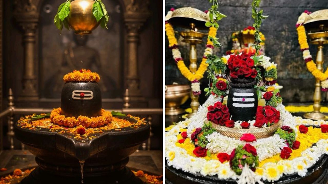 महाशिवरात्र हा शंकराच्या भक्तांसाठी खूपच खास दिवस आहे. शिवलिंगाला पूजणारे मनोभावे या दिवशी पूजा करतात आणि अनेक शिवाच्या आवडत्या गोष्टी अर्पण करतात. मात्र कोणत्या गोष्टी शिवलिंगाला वाहू नयेत जाणून घ्या