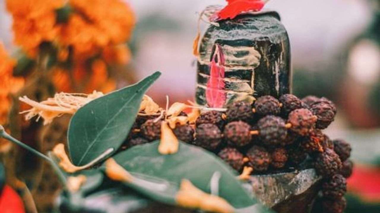 भगवान शिवाच्या पूजेत तांदळाच्या दाण्यांचे विशेष महत्त्व असले तरी महाशिवरात्रीच्या दिवशी शिवलिंगावर तुटलेले तांदळाचे दाणे अर्पण करू नयेत. असे मानले जाते की तुटलेले तांदळाचे दाणे कोणत्याही देवाला किंवा देवीला अर्पण करू नयेत