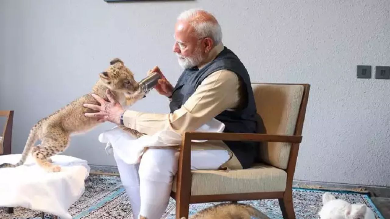देशाचे पंतप्रधान नरेंद्र मोदी गुजरातमधील जामनगर जिल्ह्यातील वांतारा या प्राणी बचाव, संवर्धन आणि पुनर्वसन केंद्रात पोहोचले. ३,००० एकरांवर पसरलेले, वांतारा हे रिलायन्सच्या जामनगर रिफायनरी कॉम्प्लेक्समध्ये आहे. हे केंद्र अत्याचारातून वाचवलेल्या प्राण्यांना अभयारण्य, पुनर्वसन आणि वैद्यकीय सेवा प्रदान करते. मोदीजी येथे वांतरा येथे सुमारे २ तास राहिले.