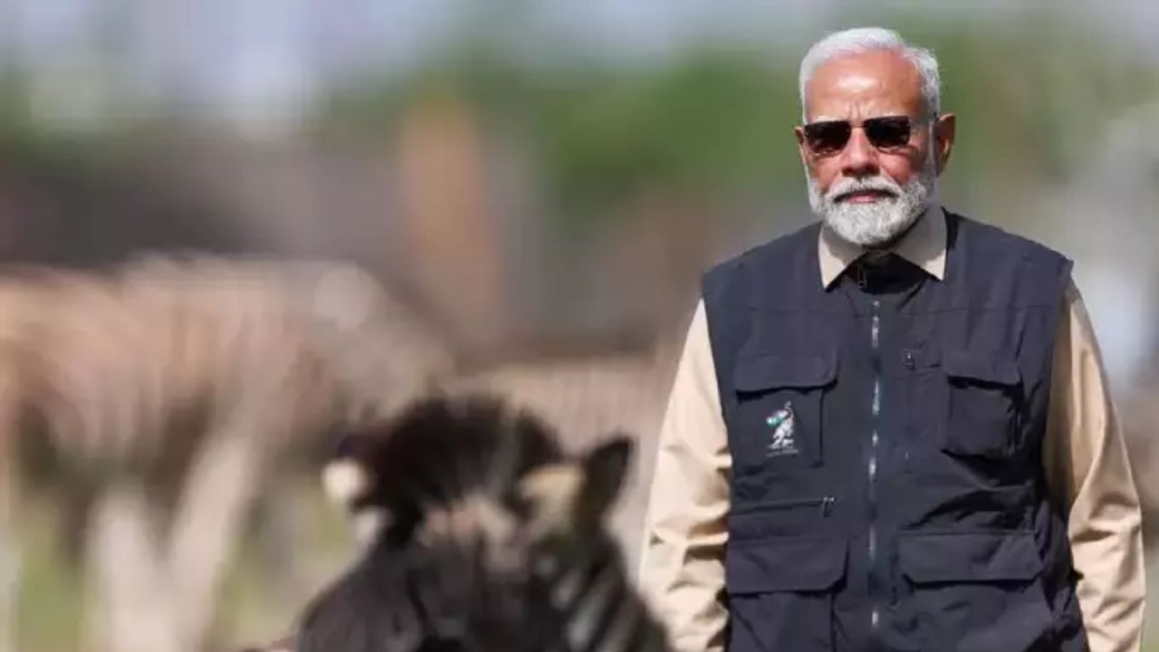 पंतप्रधान मोदींनी वनतारा, वन्यजीव बचाव, पुनर्वसन आणि संवर्धन केंद्राचे उद्घाटनही केले. वनतारा येथे २००० हून अधिक प्रजाती आणि १.५ लाखांहून अधिक बचावलेले प्राणी आहेत.