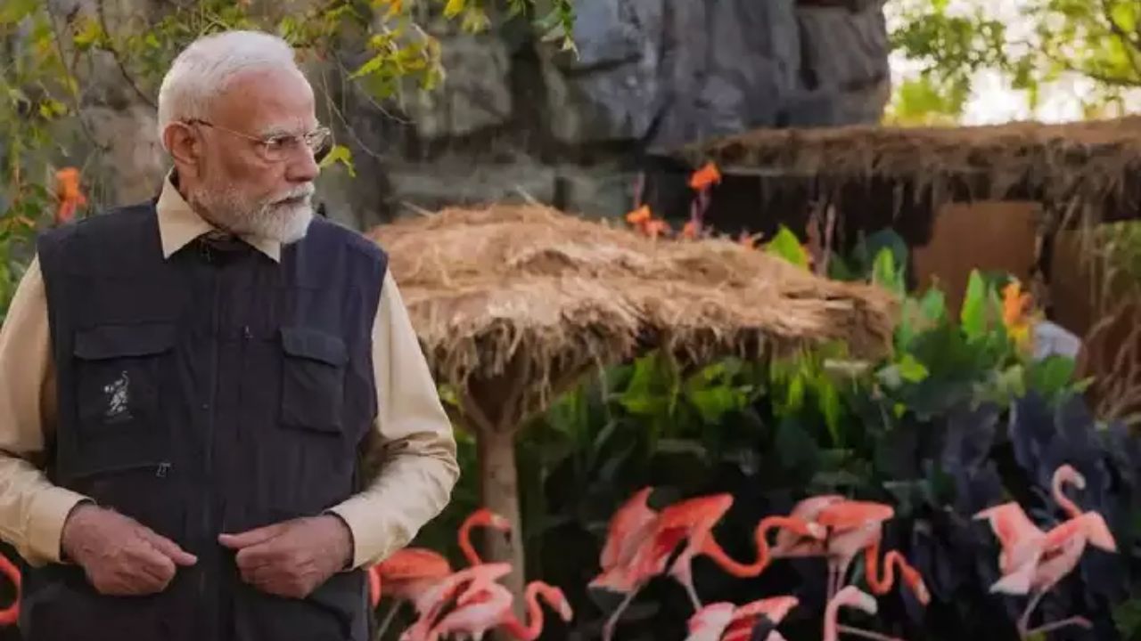 मोदींनी वांतारा येथे पुरवल्या जाणाऱ्या सुविधांचा आढावा घेतला. त्यांनी वन्यजीव रुग्णालयालाही भेट दिली.