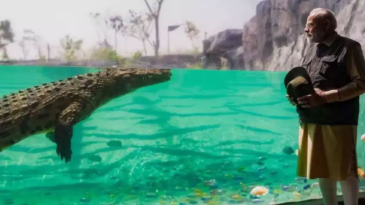 या पशु रुग्णालयात एमआरआय, सीटी स्कॅन, आयसीयू आणि इतर सुविधा उपलब्ध आहेत. येथे वन्यजीव भूल, कॉर्डॉलॉजी, नेफ्रोलॉजी, एंडोस्कोपी, दंतचिकित्सा इत्यादी विभाग देखील आहेत.