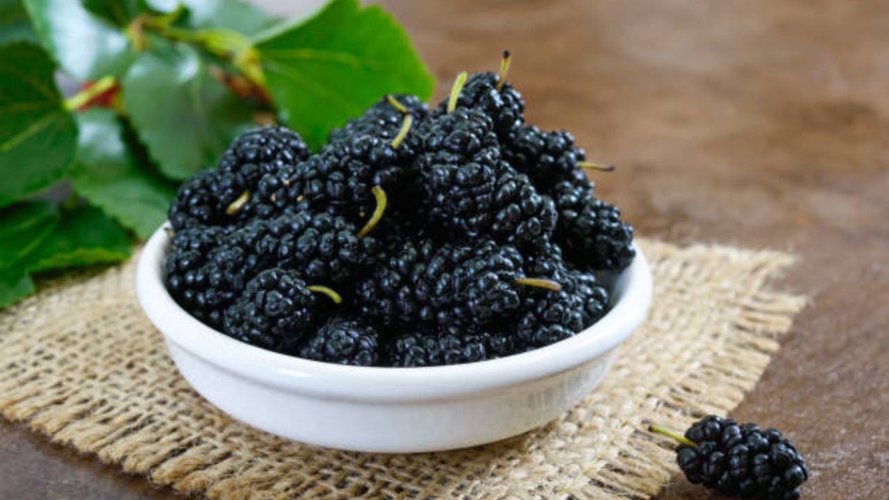 रोजच्या आहारात सतत तेलकट किंवा तिखट पदार्थांचे अतिसेवन केल्यामुळे लिव्हरच्या कार्यात अडथळे निर्माण होतात. त्यामुळे लिव्हर स्वच्छ ठेवण्यासाठी आहारात तुतीचे सेवन करावे. 