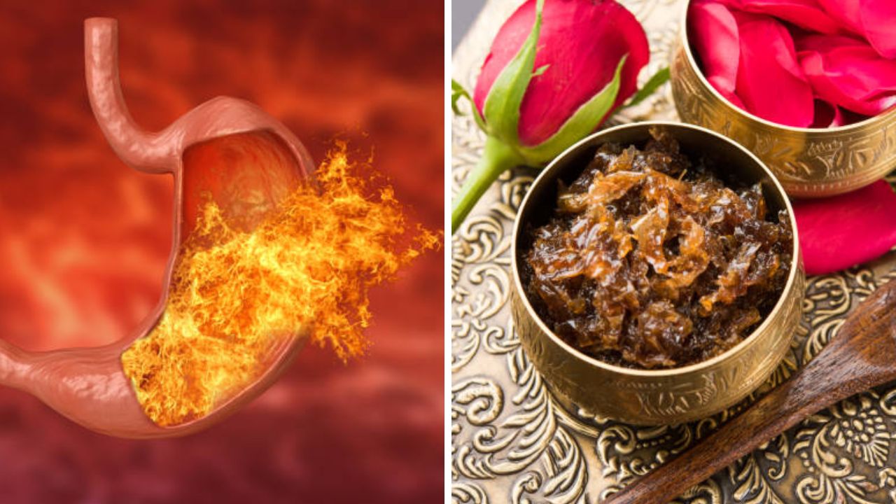 पित्तामुळे सतत आंबट ढेकर येतात? ‘हे’ घरगुती उपाय करून तात्काळ मिळवा आराम, पित्ताची समस्या होईल कमी