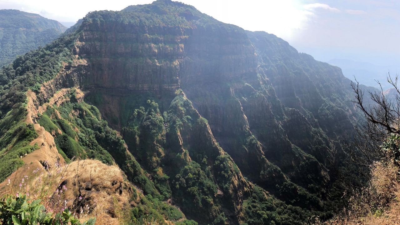 बामणोली गावातून वासोटा किल्ल्यावर जाण्यासाठी शिवसागर तलाव पार करावा लागतो. तुम्ही बोटीने हा तलाव पार करु शकता. हा किल्ला घनदाट जंगलात वसलेला आहे
