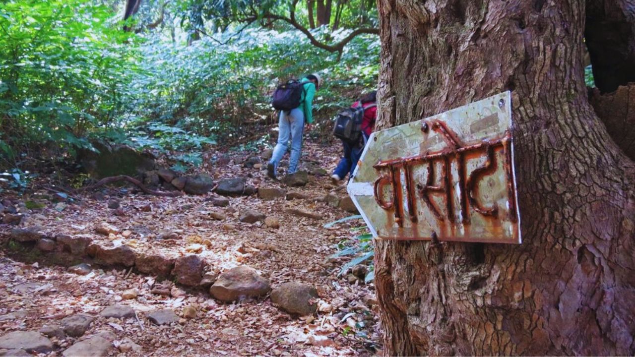 सातारा शहराच्या पश्चिमेस 40 किमी अंतरावर जावळी तालुक्यात सह्याद्रीच्या घनदाट जंगलात वासोटा किल्ला वसला आहे. वासोटा किल्ला हा वनदुर्ग प्रकारात मोडतो
