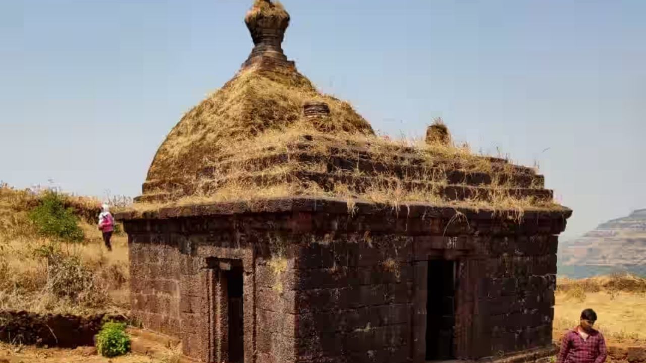 वासोटा किल्ला हा इतिहासप्रेमी, निसर्गरप्रेमी आणि ट्रेकिंग प्रेमींसाठी एक उत्तम ठिकाण आहे. घनदाट जंगलात लपलेला हा किल्ला दुर्गम असला तरी अद्वितीय आहे 
